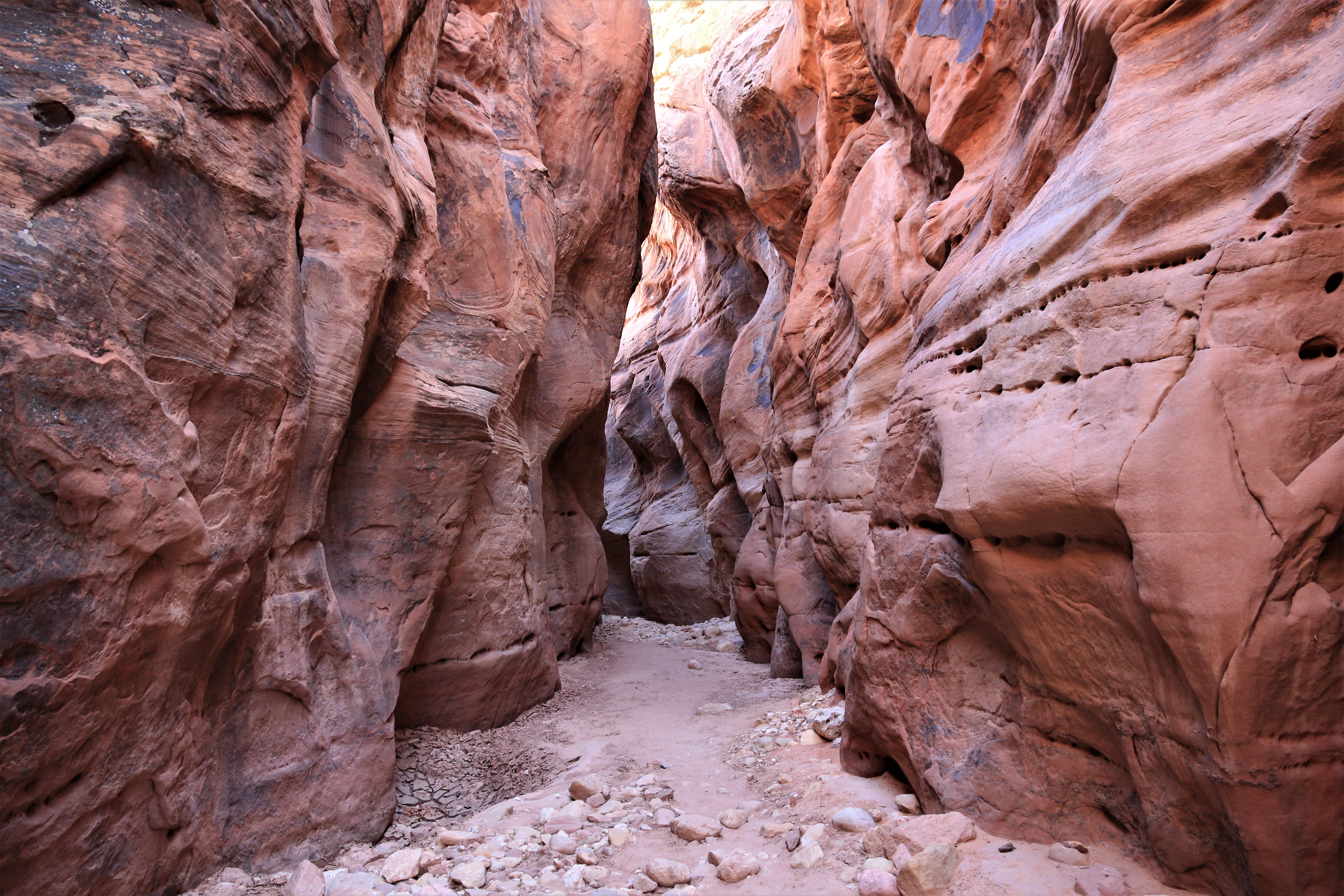 Vermillion Cliffs NM